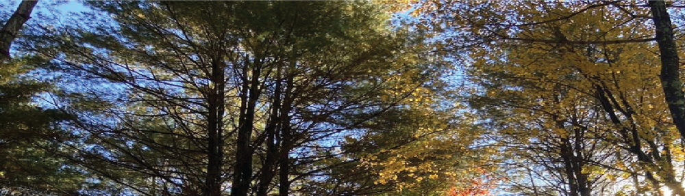 Melissa Leigh Clarke